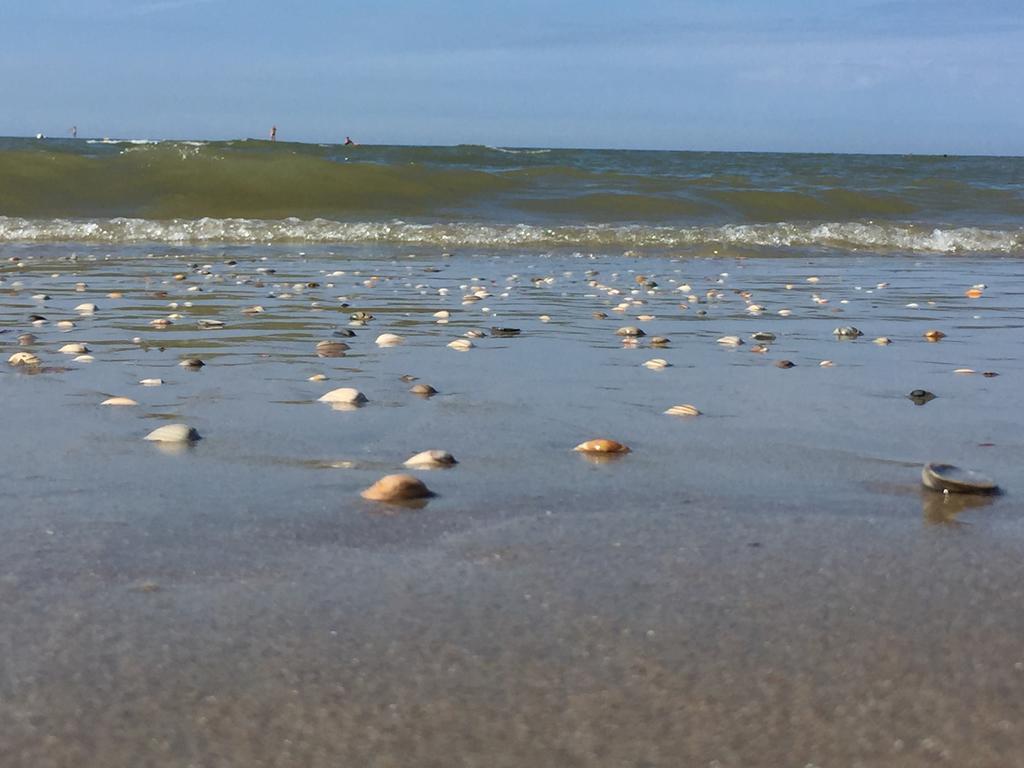 Sea You Hotel Нордвейк Екстер'єр фото